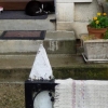 Palluau, chat endormi