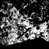Clisson by night - Entre les feuilles...
