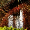 Soleil d'automne