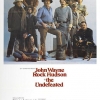 LES GEANTS DE L'OUEST (1969)