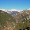 tende