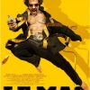 LE MAC (2010)