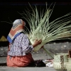 tarahumara