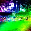 Arc-en-ciel