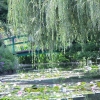 Depuis le jardin de Claude Monet à Giverny,...