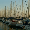 Le port de Piriac (5)