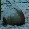 Ce matin au jardin