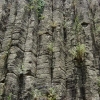 Colonnes de basalte / Basalt columns