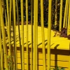 La couleur jaune