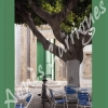 Arbre & Bicyclette