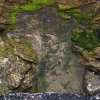 Le petit lac
