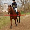 CCE de Meaux