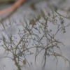Gros plan d'un reflet