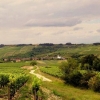 irancy