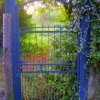 C'est une porte bleuuue
