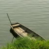 Barque