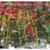 couleurs