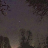 orion