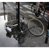 La photo du 12 février 2007