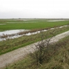 Polder 2