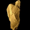 Cheval et visage d'un Humain de Neandertal