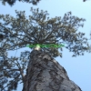 la nature