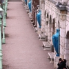 Les amant roses - Vienne 2013