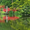 Le parc oriental de Maulévrier (7)