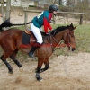CCE de Meaux