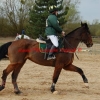 CCE de Meaux