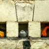 A chacun sa niche