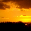 Paysage