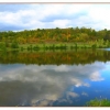 Reflets d'automne