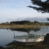 Forêt aquatique