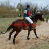 CCE de Meaux