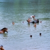 Groupe d'enfants jouant dans le lac entourant...