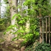 chemin d'enfance III