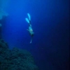 Plongeuse en apnée, Corse