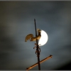 Girouette de nuit
