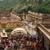 Le temple des singes, dans les environs de Jaipur