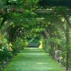 A l'ombre d'une pergola