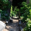 Le Cimetière du Dieweg (ancien cimetière d'Uccle)