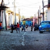 EL GATO BLANCO - Cuba 2012
