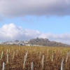 sancerre