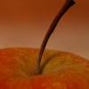 Queue de pomme