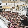 Le souk des teinturiers et des tanneurs (1/5)