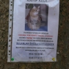 Avis de recherche