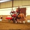 concours de voltige