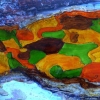 Peinture sur photo