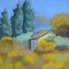 Provence 1
